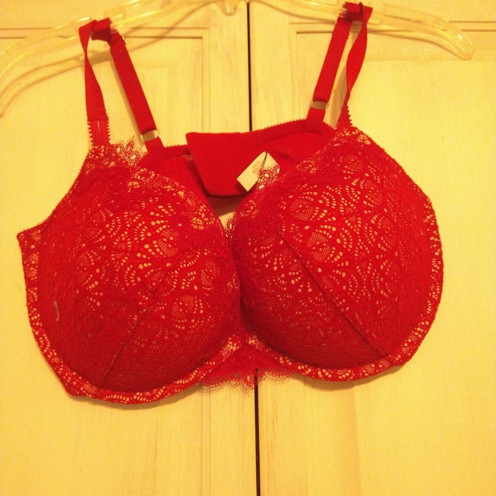 Red Lacy bra